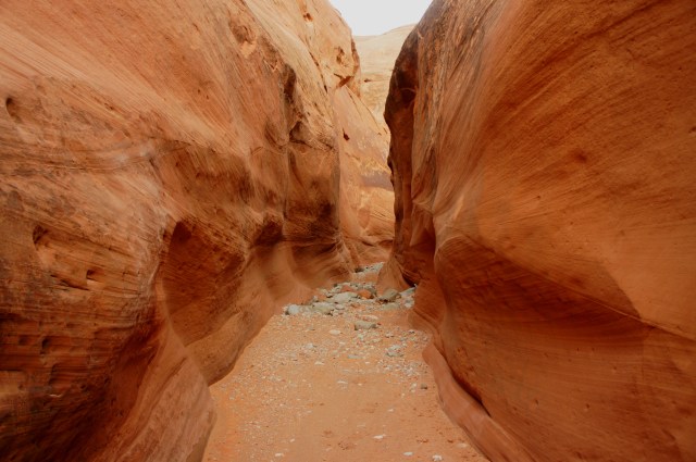 Beautiful, cross-bedded narrows in Lower Maidenwater Canyon