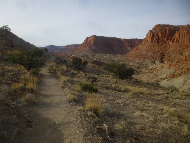 Heading back toward the trailhead, Chimney Rock Trail, Capitol Reef National Park