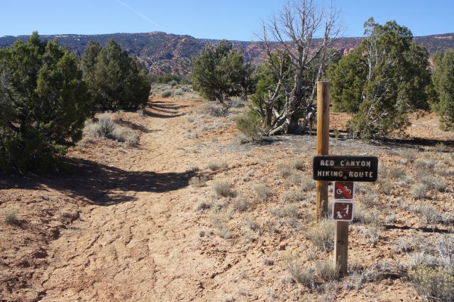 Red Canyon Trailhead at Cedar Mesa Campground, Capitol Reef National Park