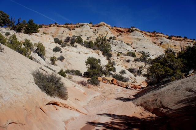 Red Canyon wash meanders through the Navajo sandstone