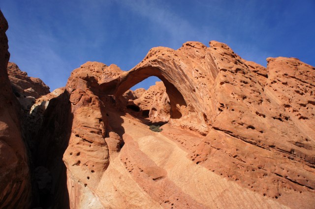 Saddle Arch, Upper Muley Twist Canyon, Capitol Reef National Park