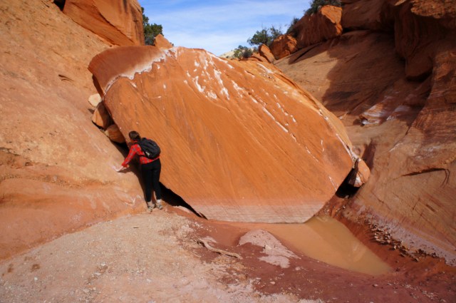 Boulder obstacle in Upper Muley Twist Canyon