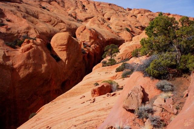 Bypass route around the narrows, Upper Muley Twist Canyon