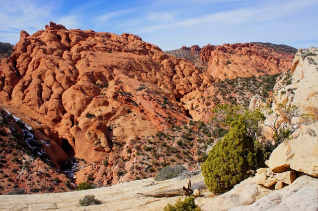 View east toward Upper Muley Twist Canyon