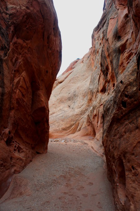 Third set of narrows, Lower Muley Twist Canyon, Capitol Reef National Park