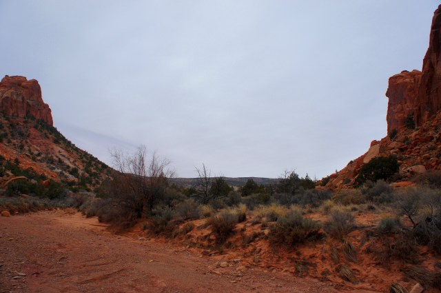Abrupt opening in the Circle Cliffs, Lower Muley Twist Canyon, Capitol Reef National Park