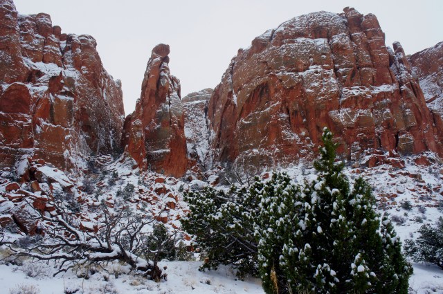 Chimney Rock Canyon in snow, Capitol Reef National Park