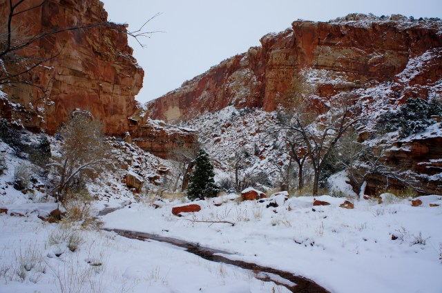 Upper Spring Canyon in snow, Capitol Reef National Park