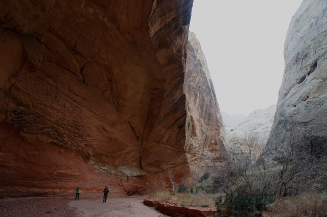 Lower Spring Canyon, Capitol Reef National Park, March 2015
