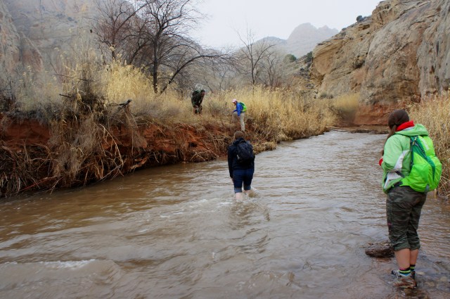 Fording the Fremont River, Lower Spring Canyon, Capitol Reef National Park