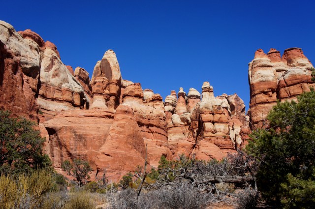 Cluster of needles to the north of Chesler Park