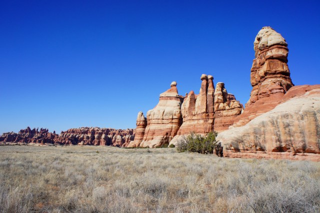 Chesler Park on a March afternoon, Needles, Canyonlands National Park