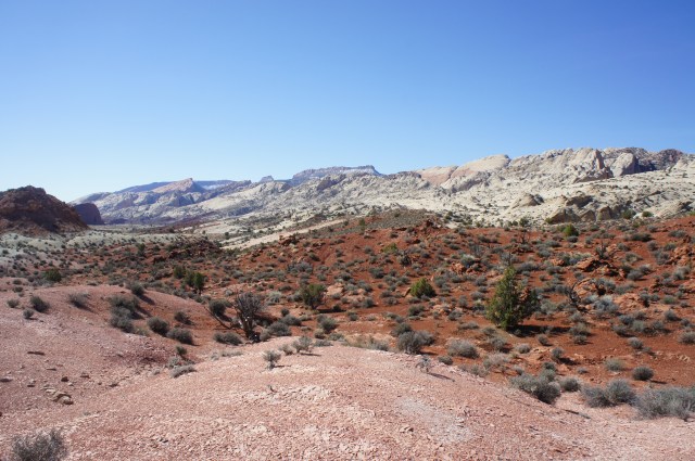 View of Waterpocket Fold from the low divide, as Halls Creek winds off to the west (right), Capitol Reef National Park