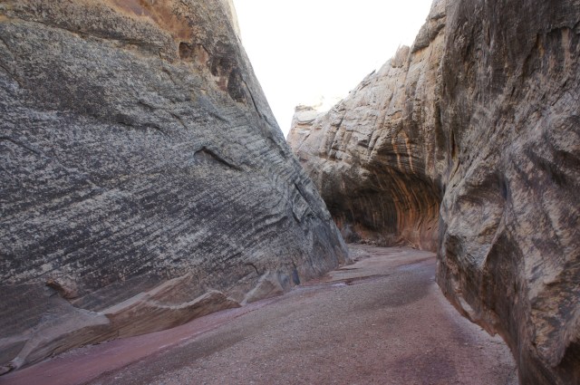 Narrows in Lower Muley Twist Canyon, about 1/3 mile from the junction with the old dugway following Halls Creek