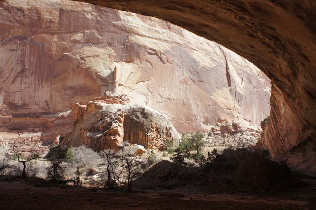 Cowboy Cave, Lower Muley Twist Canyon, Capitol Reef National Park