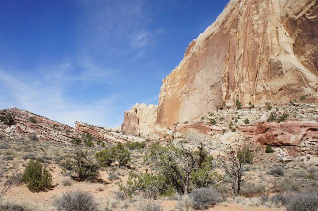 Endless line of Navajo sandstone, Lower Muley Twist Canyon, Capitol Reef National Park