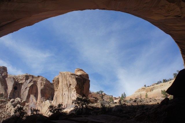 Lower Muley Twist Canyon, Capitol Reef National Park, March 2015