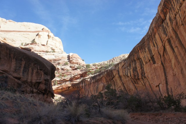 Lower Muley Twist Canyon (note the reddish stripe on the Navajo wall)