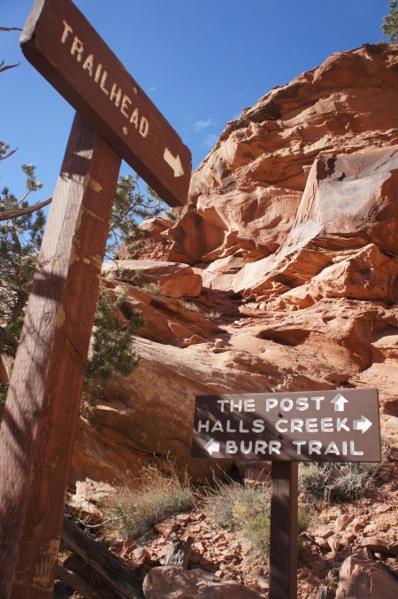 Start of Post Cut-off route from Lower Muley Twist Canyon, Capitol Reef National Park