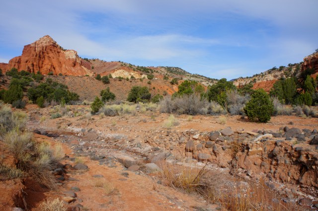 Upper Spring Canyon (Capitol Reef National Park, UT) – Live and Let Hike