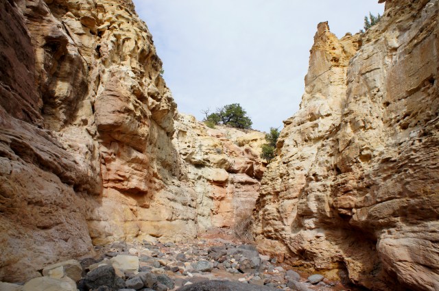 Narrows in the Shinarump member of the Chinle formation