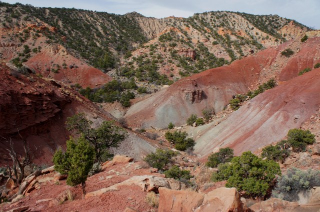 Chinle badlands from the top of a steep ridge on the approach to the "W"