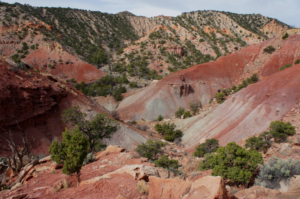 Upper Spring Canyon (Capitol Reef National Park, UT) – Live and Let Hike