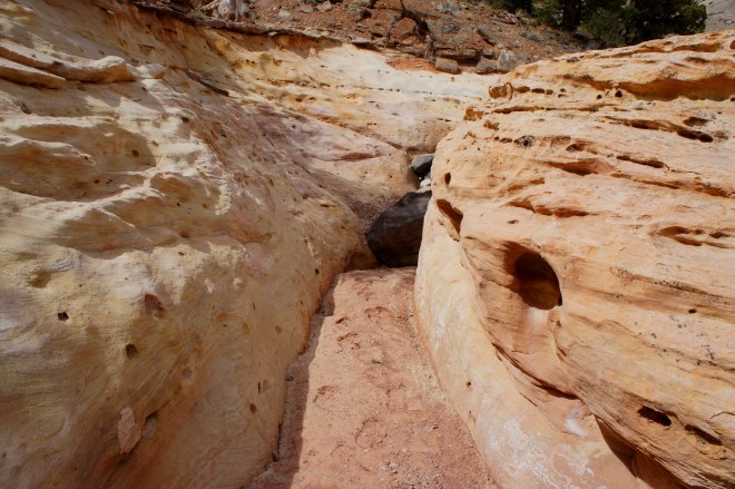 Upper Spring Canyon (Capitol Reef National Park, UT) – Live and Let Hike