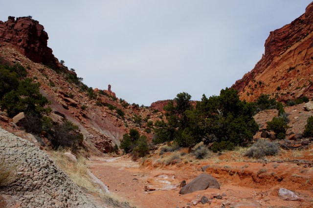 View from the confluence, looking up the North Fork of Spring Canyon