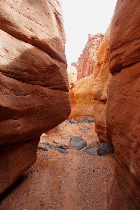 Brief slot section in Upper Spring Canyon, Capitol Reef National Park