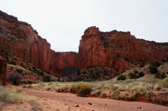 Entrance of side canyon known to canyoneers as "Pandora's Box," Upper Spring Canyon, Capitol Reef National Park