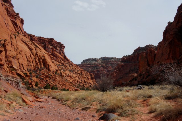 View southeast, down Upper Spring Canyon, Capitol Reef National Park