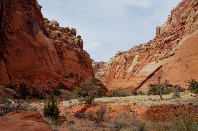 Upper Spring Canyon from the junction with Chimney Rock Canyon