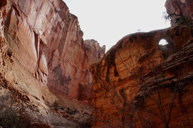Small archway in Chimney Rock Canyon, Capitol Reef National Park