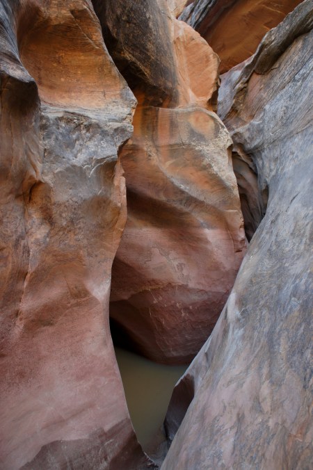 Start of the thin slot section - and the deep and muddy pool - in Cottonwood Wash, Capitol Reef National Park