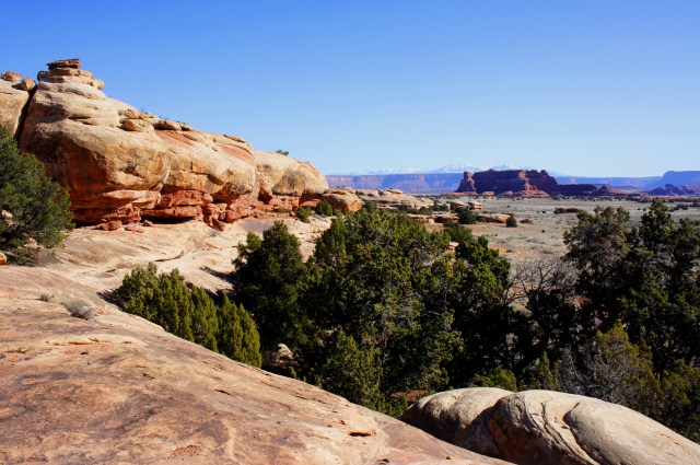 View of Squaw Butte and the La Sal Mountains from the first slickrock ridge