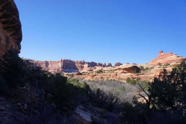 View of the Needles from Big Spring Canyon Trail, Canyonlands National Park