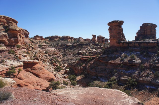 View up Big Spring Canyon from just below the Big Spring Canyon Overlook, Needles District, Canyonlands National Park