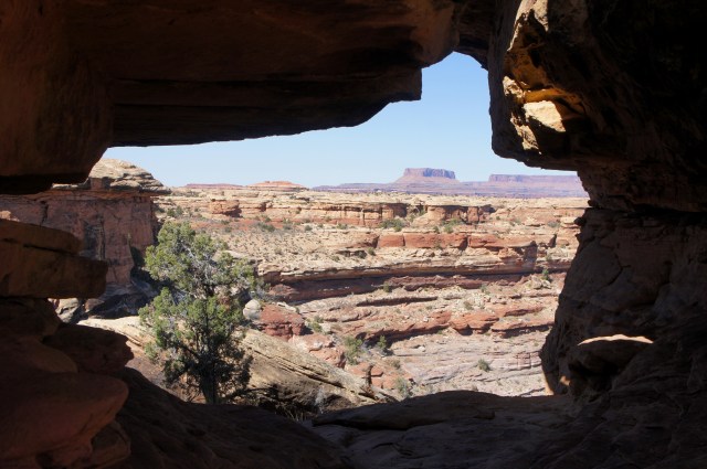 "The Keyhole" along the Confluence Overlook Trail. Junction Butte is framed in the distance.