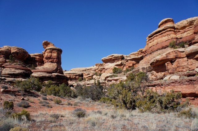 Side drainage feeding into Elephant Canyon along the Confluence Overlook Trail