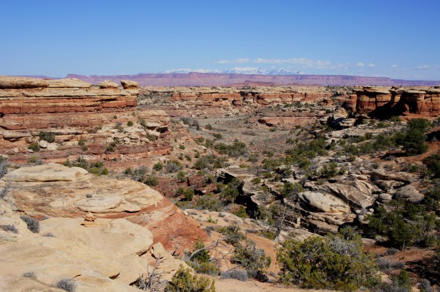 Looking back toward Elephant Canyon from the Confluence Overlook Trail