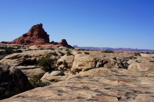Tall outcrop of Organ Rock shale, along the Confluence Overlook Trail