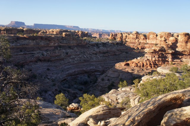 Goosenecks in Big Spring Canyon as the sun sets over Canyonlands
