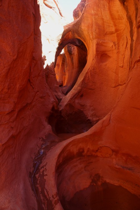 Potholes (full of water from the spring snowmelt), with the iconic double arches of Peekaboo Gulch beyond