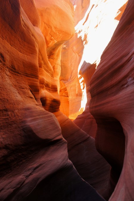 Beautiful coloration in Peekaboo Gulch