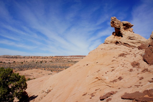 Cresting a butte of Navajo sandstone, between Peekaboo and Spooky Gulch; Cat Pasture beyond