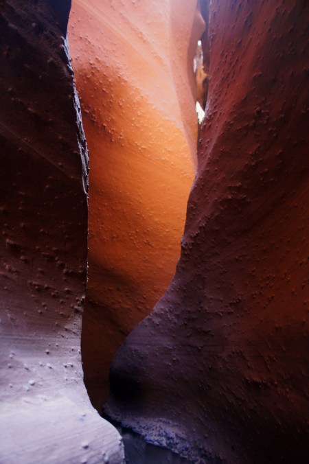 Spooky Gulch slot canyon, Grand Staircase-Escalante National Monument
