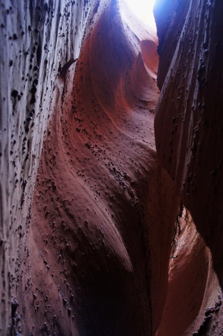 Slot canyon in Spooky Gulch