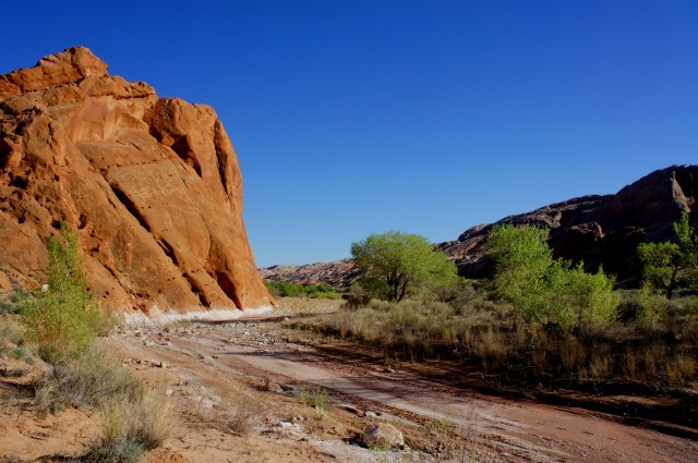First crossing of Halls Creek in Grand Gulch