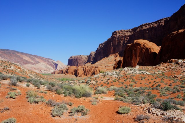 View south from Halls Divide
